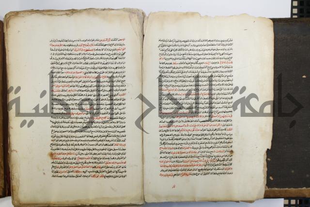شرح الرملي