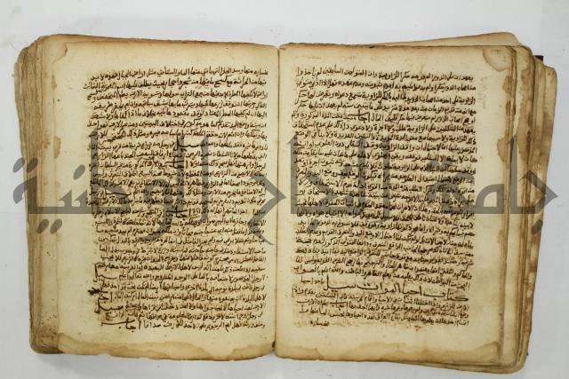 كتاب فتاوى شيخ الإسلام والمسلمين العالم العامل الشيخ محمد الخليلي الشافعي