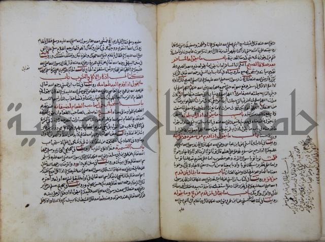 كتاب حلية الابرار وشعار الاخيار في تحقيق الدعوات والاذكار المستحبة في الليل والنهار