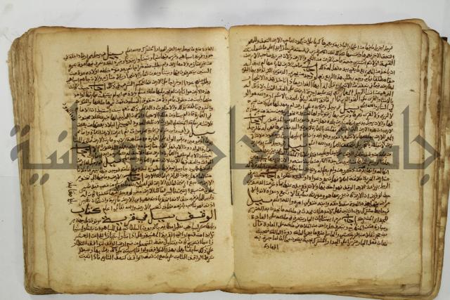 كتاب فتاوى شيخ الإسلام والمسلمين العالم العامل الشيخ محمد الخليلي الشافعي