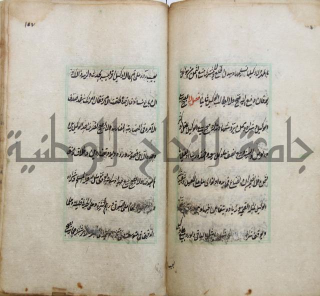 الوقاية الرداتية في مسايل الهداية 