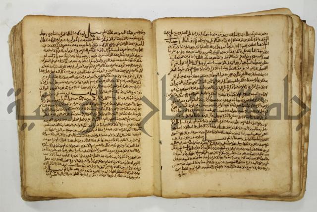 كتاب فتاوى شيخ الإسلام والمسلمين العالم العامل الشيخ محمد الخليلي الشافعي