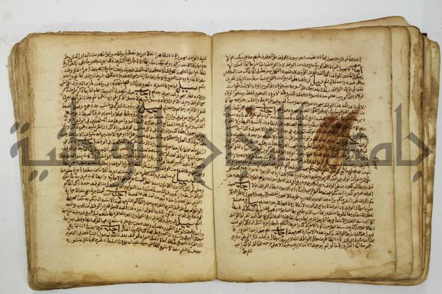 كتاب فتاوى شيخ الإسلام والمسلمين العالم العامل الشيخ محمد الخليلي الشافعي