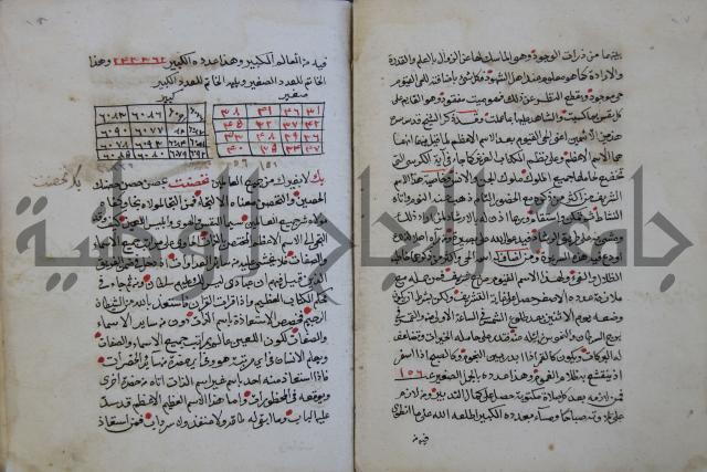 الدر الثمين لشرح الدور الاعلى لسيدي محي الدين