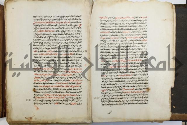 شرح الرملي