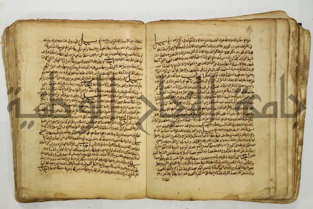 كتاب فتاوى شيخ الإسلام والمسلمين العالم العامل الشيخ محمد الخليلي الشافعي