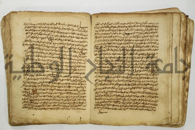 كتاب فتاوى شيخ الإسلام والمسلمين العالم العامل الشيخ محمد الخليلي الشافعي