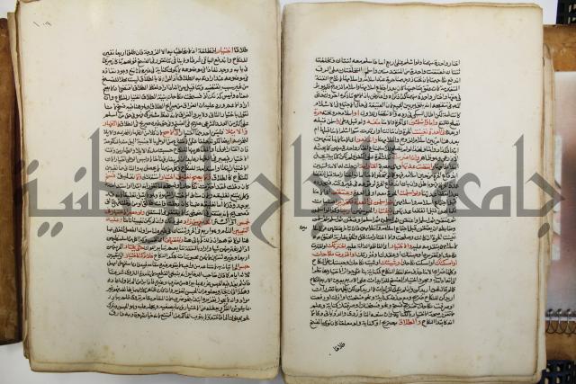 شرح الرملي