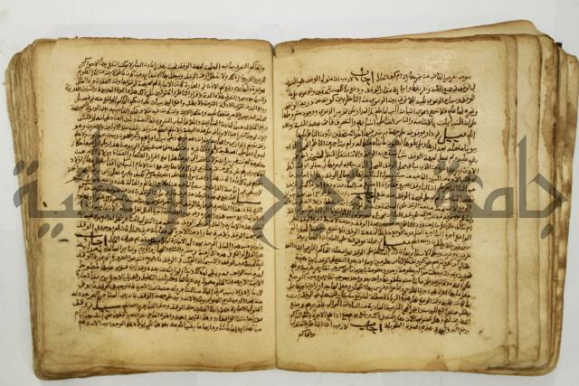 كتاب فتاوى شيخ الإسلام والمسلمين العالم العامل الشيخ محمد الخليلي الشافعي