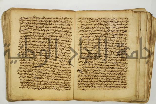 كتاب فتاوى شيخ الإسلام والمسلمين العالم العامل الشيخ محمد الخليلي الشافعي