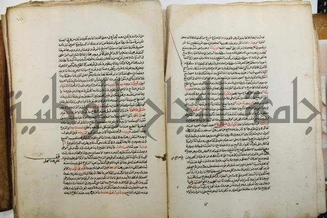 شرح الرملي