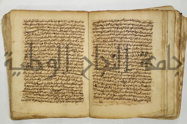 كتاب فتاوى شيخ الإسلام والمسلمين العالم العامل الشيخ محمد الخليلي الشافعي