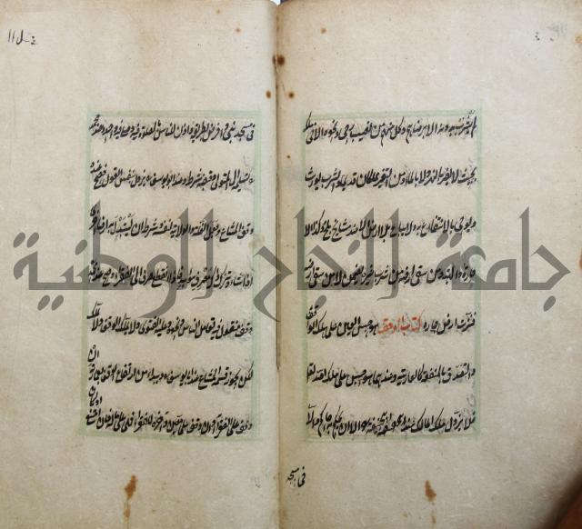 الوقاية الرداتية في مسايل الهداية 