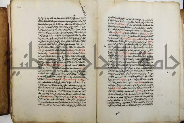 شرح الرملي