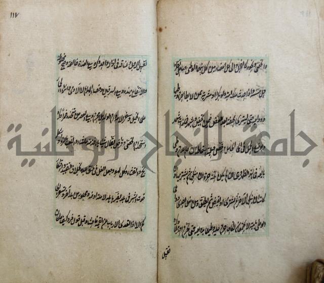 الوقاية الرداتية في مسايل الهداية 