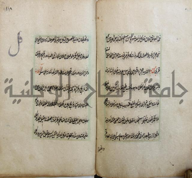 الوقاية الرداتية في مسايل الهداية 