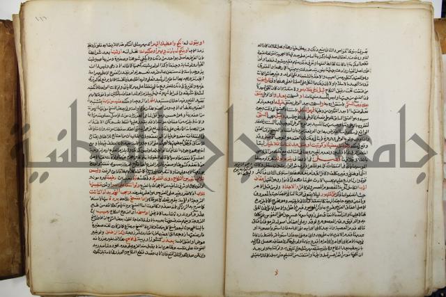 شرح الرملي