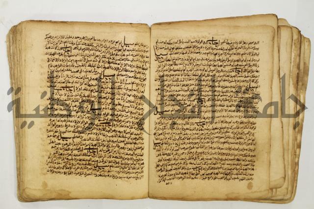 كتاب فتاوى شيخ الإسلام والمسلمين العالم العامل الشيخ محمد الخليلي الشافعي