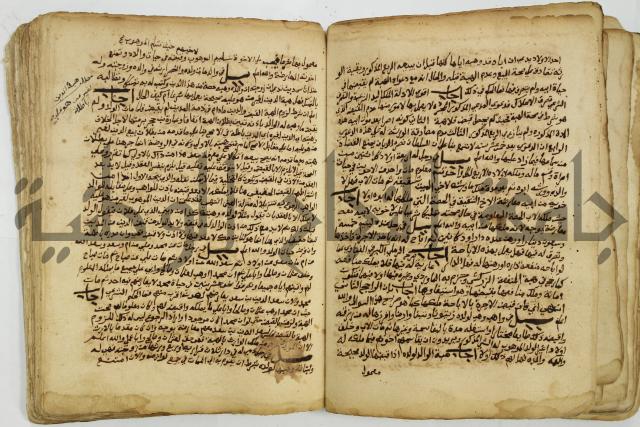 كتاب فتاوى شيخ الإسلام والمسلمين العالم العامل الشيخ محمد الخليلي الشافعي
