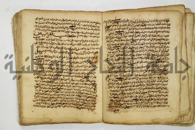 كتاب فتاوى شيخ الإسلام والمسلمين العالم العامل الشيخ محمد الخليلي الشافعي