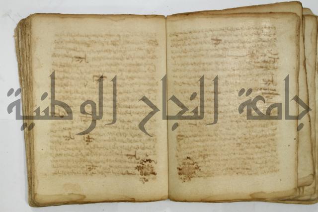 كتاب فتاوى شيخ الإسلام والمسلمين العالم العامل الشيخ محمد الخليلي الشافعي