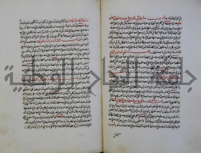 كتاب حلية الابرار وشعار الاخيار في تحقيق الدعوات والاذكار المستحبة في الليل والنهار
