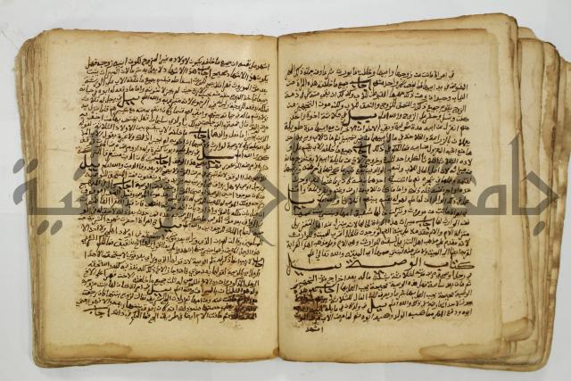 كتاب فتاوى شيخ الإسلام والمسلمين العالم العامل الشيخ محمد الخليلي الشافعي