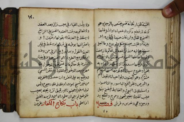 دليل الطالب لنيل المطالب في الفقه على مذهب الامام الاول