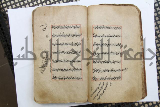 الوقاية الرداتية في مسايل الهداية 