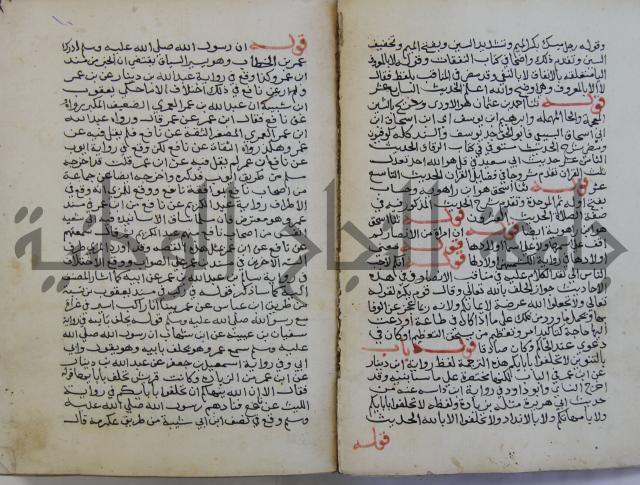 فتح الباري شرح صحيح الإمام البخاري