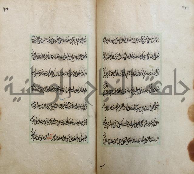 الوقاية الرداتية في مسايل الهداية 