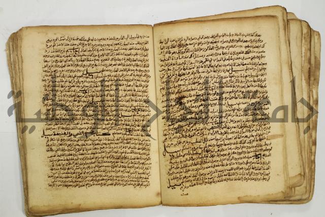 كتاب فتاوى شيخ الإسلام والمسلمين العالم العامل الشيخ محمد الخليلي الشافعي