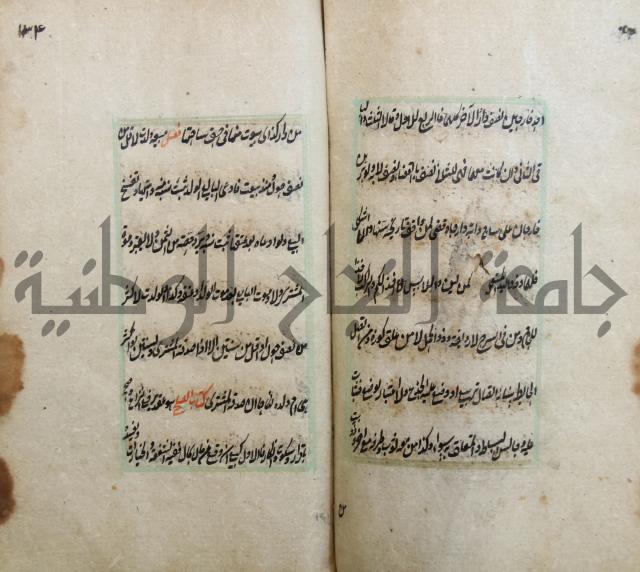 الوقاية الرداتية في مسايل الهداية 