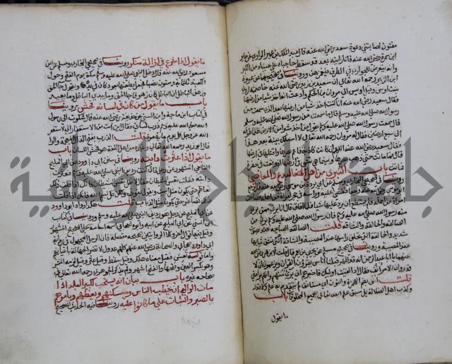 كتاب حلية الابرار وشعار الاخيار في تحقيق الدعوات والاذكار المستحبة في الليل والنهار