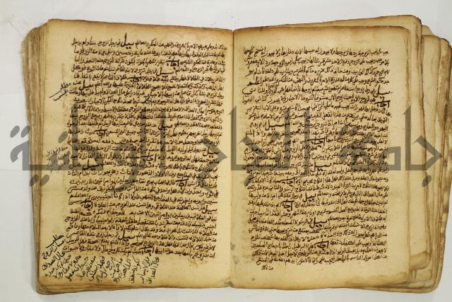 كتاب فتاوى شيخ الإسلام والمسلمين العالم العامل الشيخ محمد الخليلي الشافعي