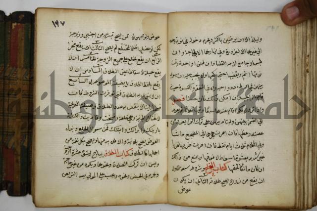 دليل الطالب لنيل المطالب في الفقه على مذهب الامام الاول
