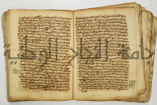كتاب فتاوى شيخ الإسلام والمسلمين العالم العامل الشيخ محمد الخليلي الشافعي