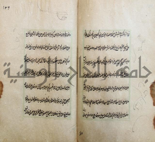 الوقاية الرداتية في مسايل الهداية 