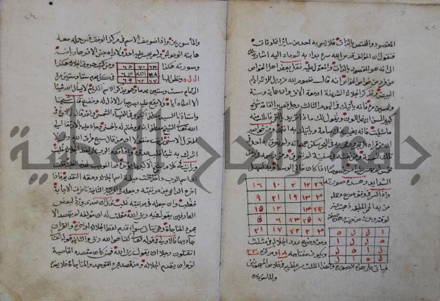 الدر الثمين لشرح الدور الاعلى لسيدي محي الدين