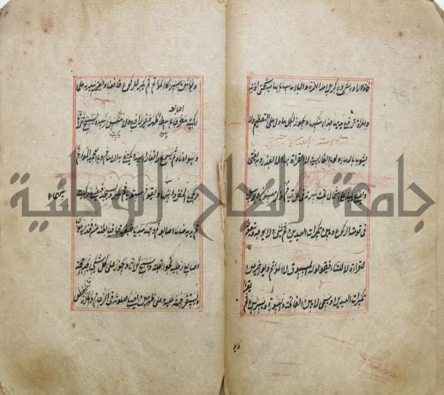 الوقاية الرداتية في مسايل الهداية 