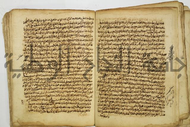 كتاب فتاوى شيخ الإسلام والمسلمين العالم العامل الشيخ محمد الخليلي الشافعي