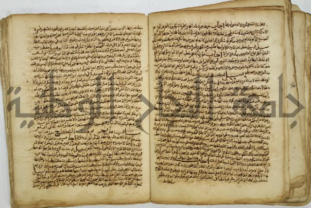 كتاب فتاوى شيخ الإسلام والمسلمين العالم العامل الشيخ محمد الخليلي الشافعي