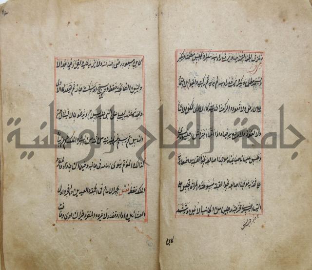 الوقاية الرداتية في مسايل الهداية 