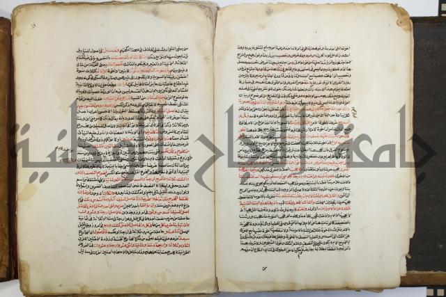 شرح الرملي