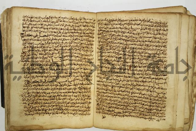 كتاب فتاوى شيخ الإسلام والمسلمين العالم العامل الشيخ محمد الخليلي الشافعي