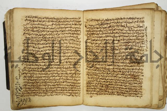 كتاب فتاوى شيخ الإسلام والمسلمين العالم العامل الشيخ محمد الخليلي الشافعي