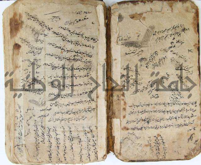 الوقاية الرداتية في مسايل الهداية 