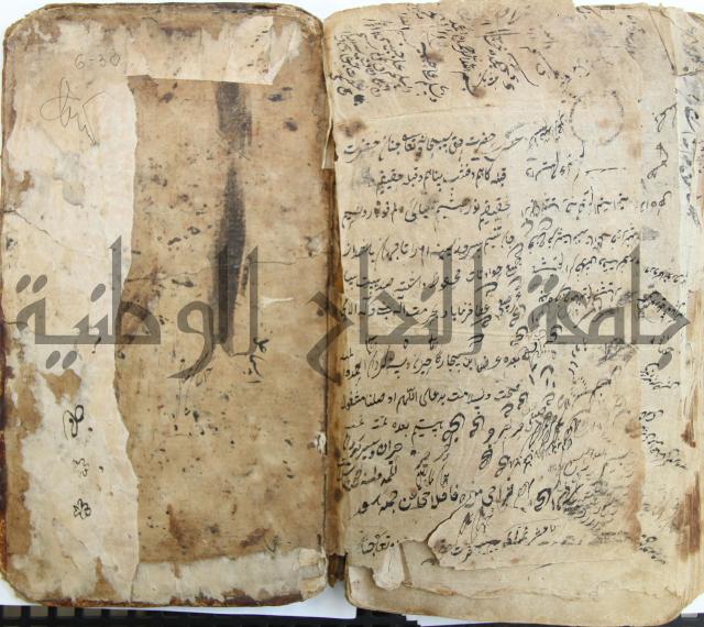الوقاية الرداتية في مسايل الهداية 