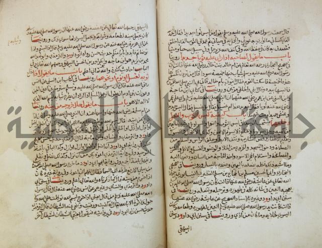 كتاب حلية الابرار وشعار الاخيار في تحقيق الدعوات والاذكار المستحبة في الليل والنهار