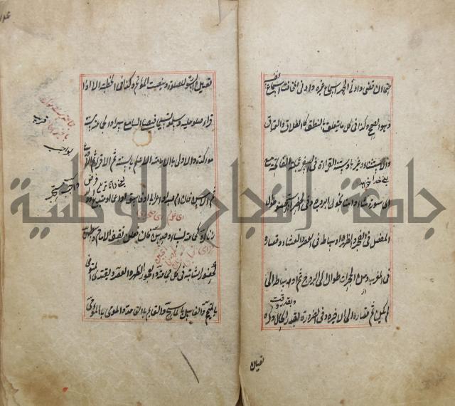الوقاية الرداتية في مسايل الهداية 
